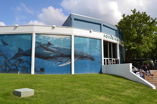 Aquarium of Niagara