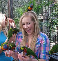 Aviary in Niagara Falls