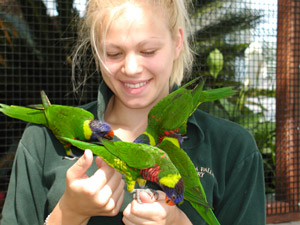 Bird Kingdom