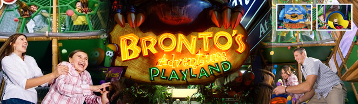 Bronto's Adventure Playland