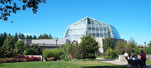 Niagara Butterfly Conservatory