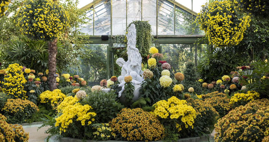 Floral Showhouse