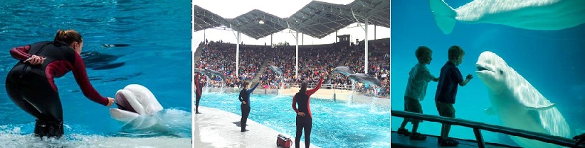 Marineland, Niagara Falls