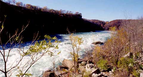 White Water River Rafting