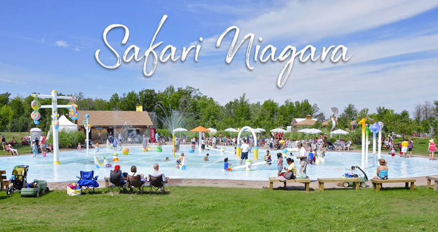 Safari Niagara