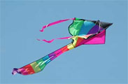 Kite Flying