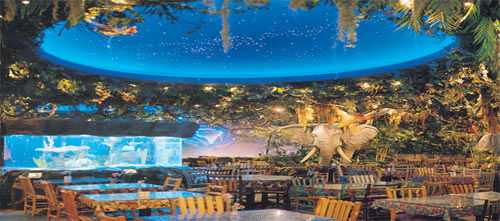 rainforest cafe, Niagara Falls