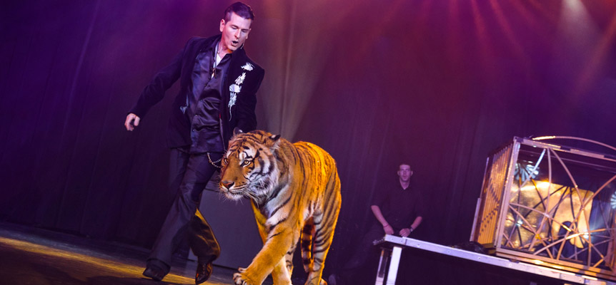 Greg Frewin Magic Show