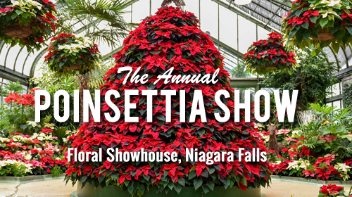Floral Showhouse Annual Poinsettia Show