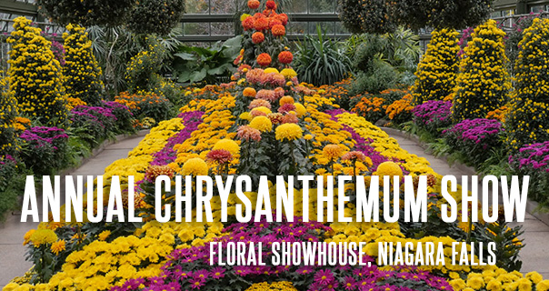 Floral Showhouse Annual Chrysanthemum Show