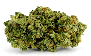 Recreational Legalization of Marijuana in Canada