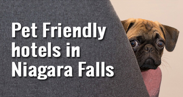 Pet Friendly Hotels Niagara Falls, Ontario, Canada - Reserve Now!