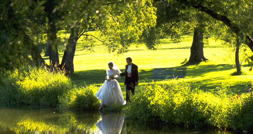 Niagara Falls Wedding