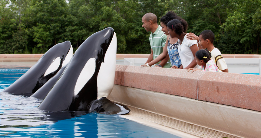 Marineland Niagara Falls