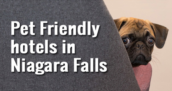 Niagara Falls Pet Friendly Hotels