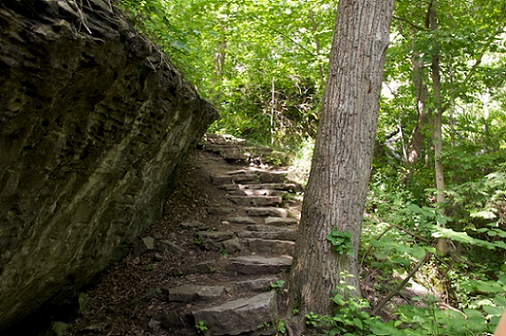 Niagara Glen