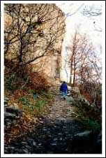 Niagara Glen Nature Reserve