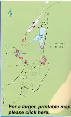 map for the Sassafrass Trail in the St.Johns Conservation area