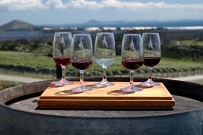 Niagara Falls Wine Tour with Cheese Pairing