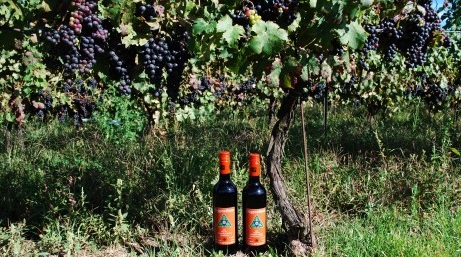 Frogpond Farm Organic Winery